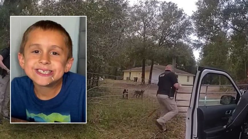 Florida boy, 8, 'maliciously mauled' to death by dogs he stopped to pet while out riding his bike: sheriff