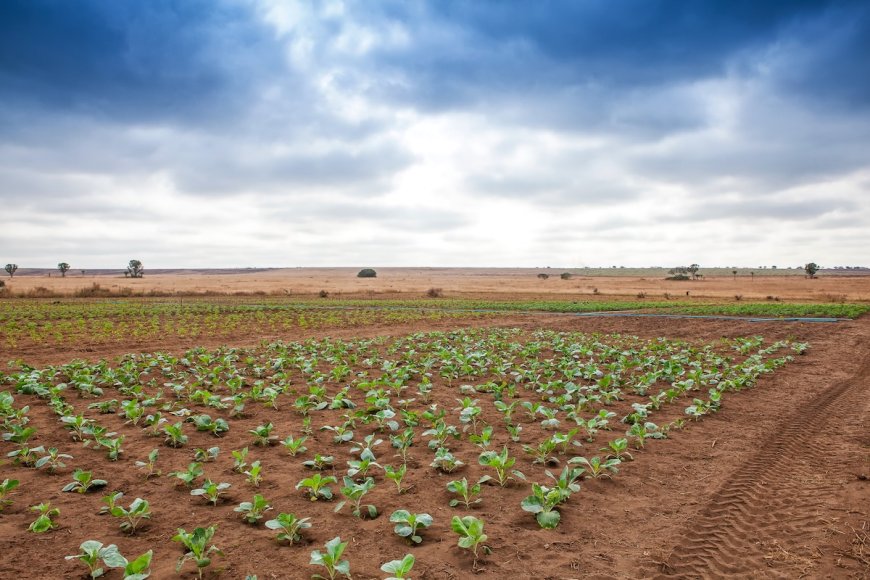 Nobel and World Food Prize Winners Call for ‘Moonshot’ Effort to Curb Global Hunger