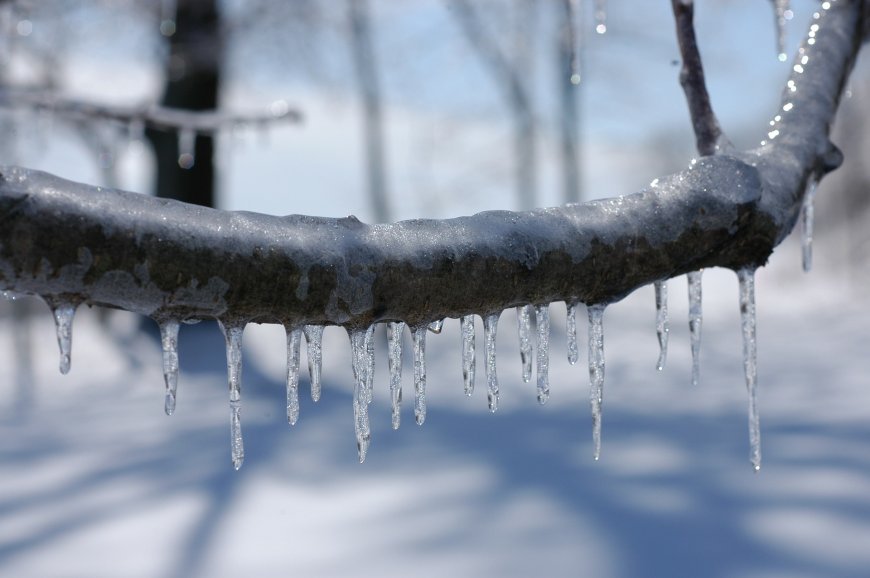 Drastic Temperature Drop: Dallas to Experience Rare Cold Snap