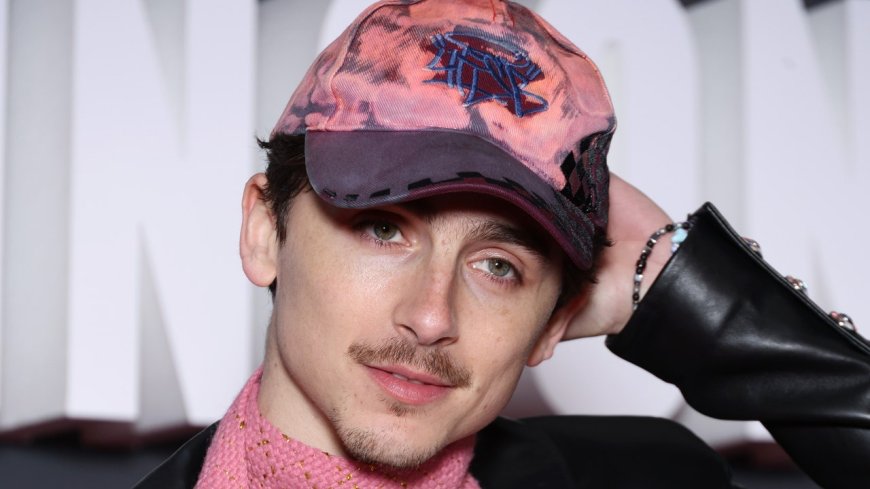 Is Timothée Chalamet High-Fashion Trolling Us?