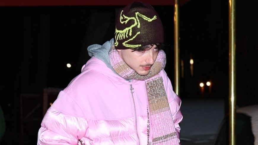 Timothée Chalamet Found the Ideal Beanie to Conquer Winter