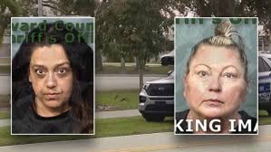 Police Bust Florida Principal Over Wild Teen Party with Booze and Chaos
