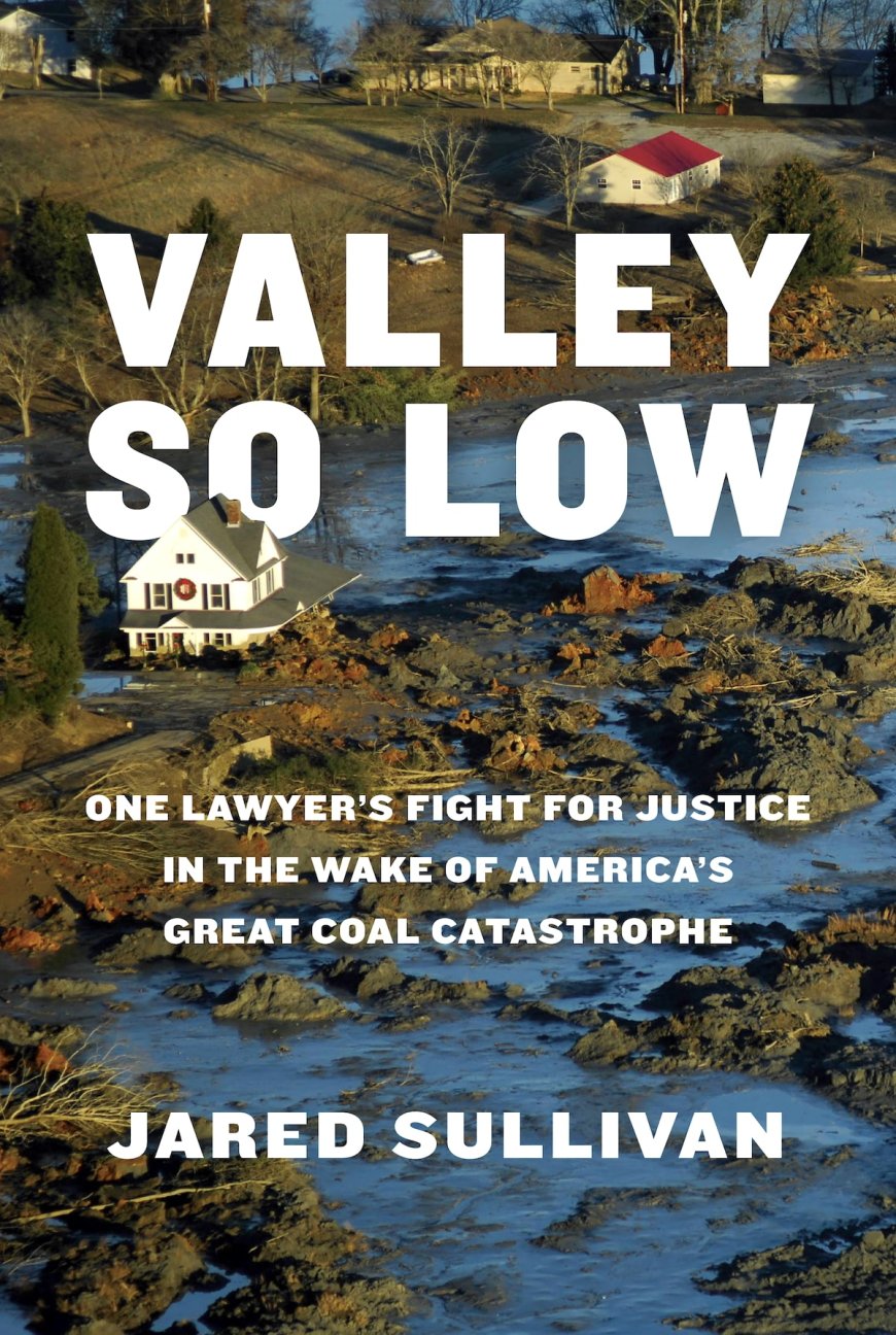 A Flood of Ash: The Fight for Justice in Kingston, Tennessee