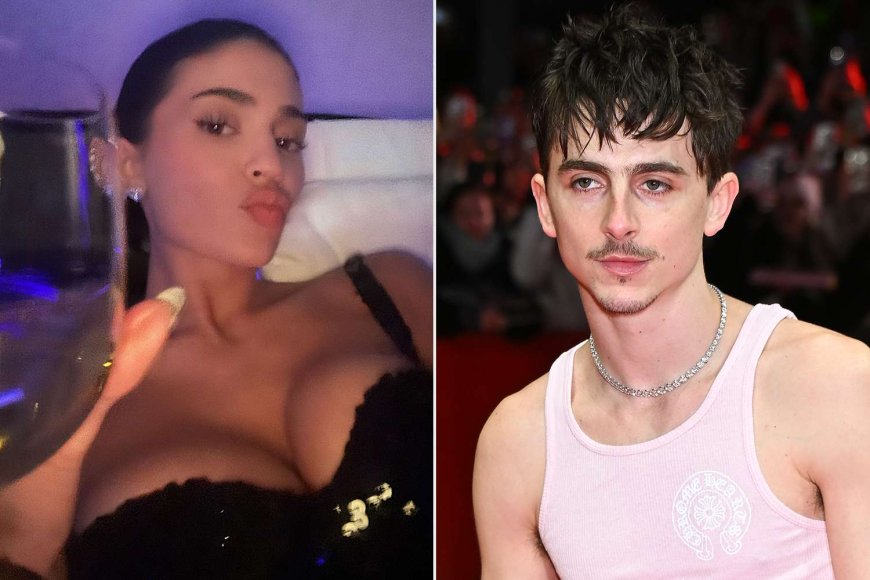 Kylie Jenner Glitters in Body-Hugging Gown Alongside Boyfriend Timothée Chalamet (Wearing Head-to-Toe Pink!) in Berlin