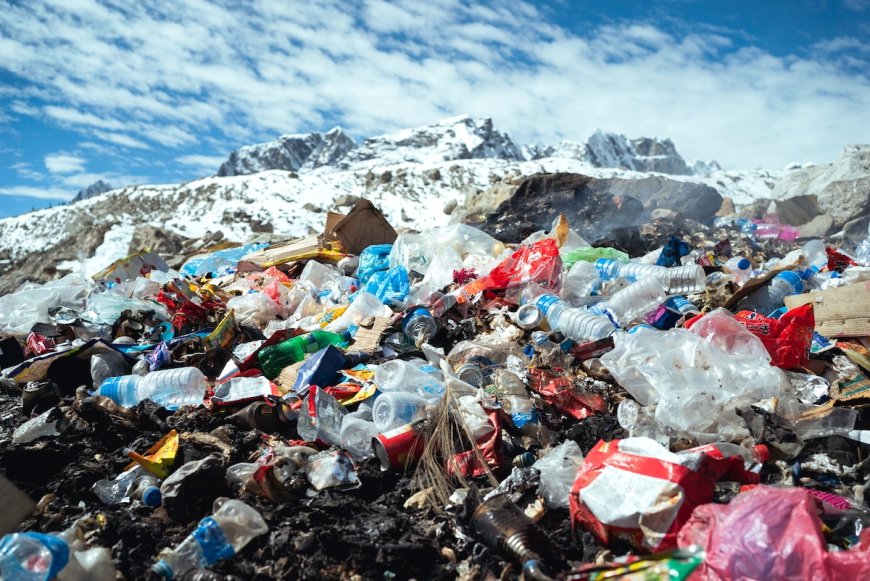 Global Plastic Recycling Rate ‘Stagnant’ at 9%: Study