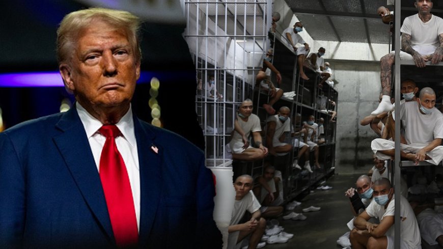 Critics blast Democrats' 'pathetic' plan to visit alleged MS-13 gang member deported to El Salvadoran prison