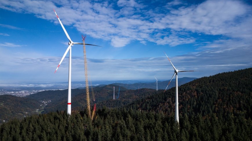 Global Wind Energy Capacity Grew 117 GW in 2024: Global Wind Report