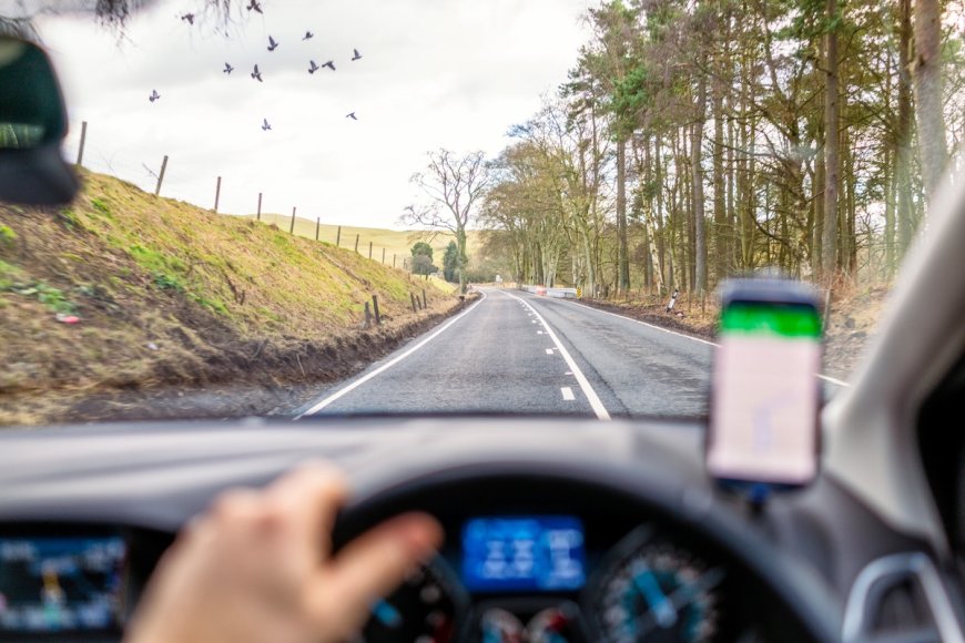 Major Decline in Bug Splatter on Vehicles Raises Fears Over Disappearing UK Insects: Study
