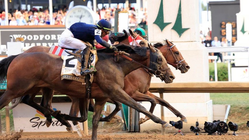 No horse, no USA: Why the naughty horses at the 151st Kentucky Derby continue to thrill us