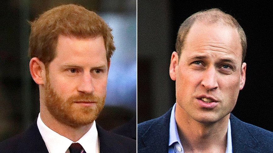 Prince William won't welcome Prince Harry back despite new plea for reconciliation: expert