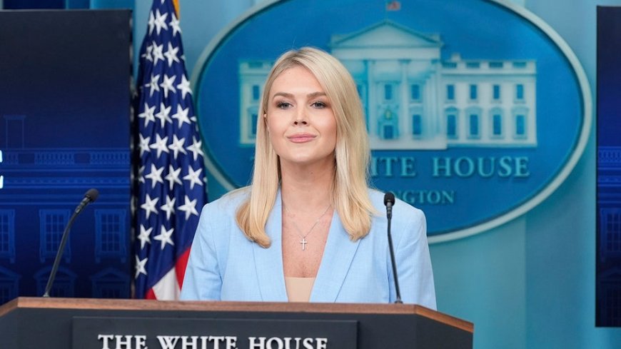 'New media' seat at White House briefings shakes up establishment with alternative to 'archaic' press