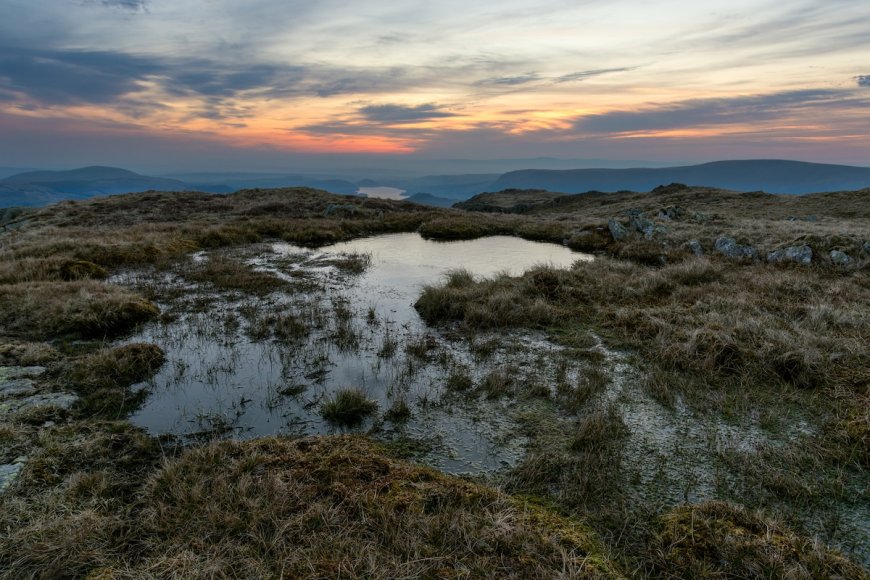Mapping of England’s Peatlands Finds 80% Have Become Degraded
