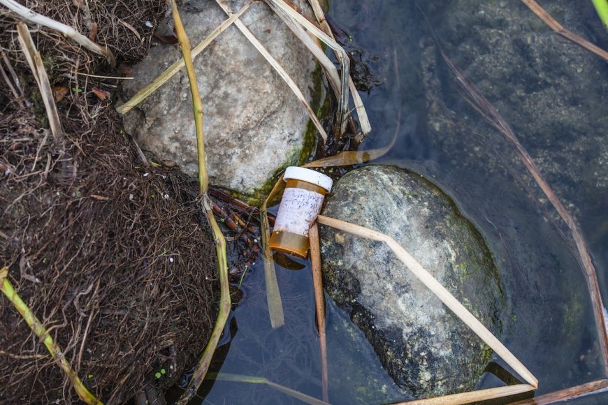 Nearly a Third of Antibiotics Used by Humans End Up in River Systems Globally Each Year: Study