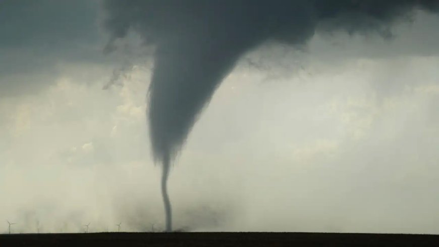 Tornado Scare in Palm Beach: Residents Share Harrowing Storm Stories