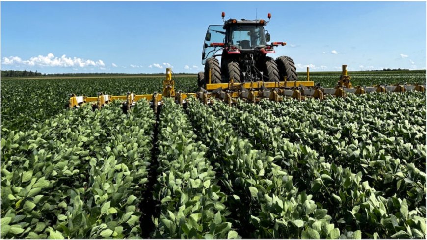 Iroquois Valley: Investing in Farmers Transitioning to Organic, Regenerative Agriculture