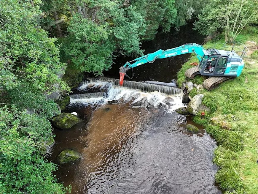 Record Number of River Barriers Removed in Europe in 2024: Report