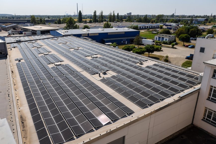 European Companies Increasingly Support Strong Climate Action: Report