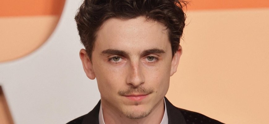 Timothée Chalamet 'Mauled' By Fans After Knicks Take Down Celtics At MSG