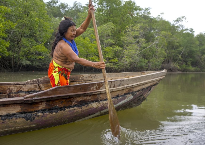 Cultural Values on Indigenous Lands Help Forests Thrive at Nearly Twice the Rate of Protected Areas: Study