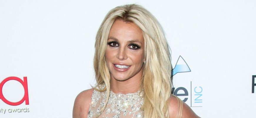 Britney Spears' Strange Actions On A Private Jet Reportedly Leaves Flight Attendants 'Alarmed'