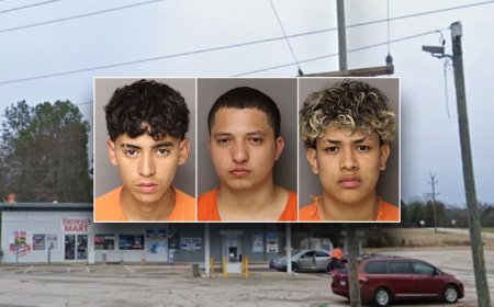 Americans at risk 'anywhere' after 6 illegal immigrants are charged in mother's murder: congressman