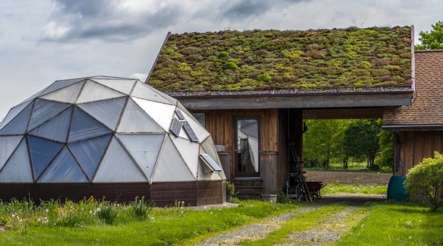 ‘The Science Is What Sets Us Apart’: How the Rodale Institute Has Spent 77 Years Innovating Regenerative Organic Agriculture