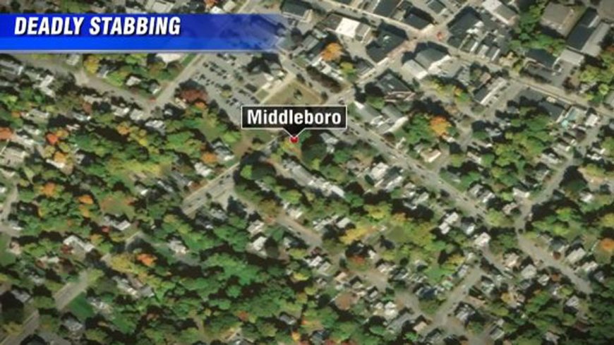 Police investigating deadly domestic stabbing in Middleboro