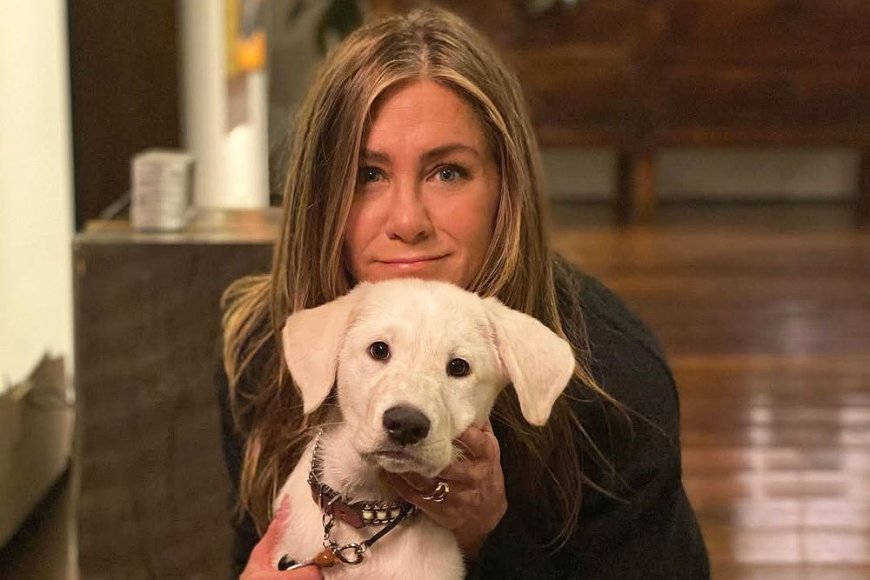 Jennifer Aniston Reveals What Her ‘Perfect’ Day Off Looks Like — and Dogs Are Involved, Of Course! (Exclusive)