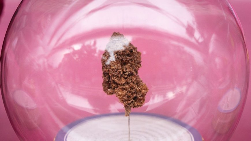 Thailand Moves to De-Legalize Weed in Major Drug-Policy U-Turn